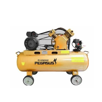 Máy nén khí dây đai Pegasus TM-V-0.17/8-120L (2HP)