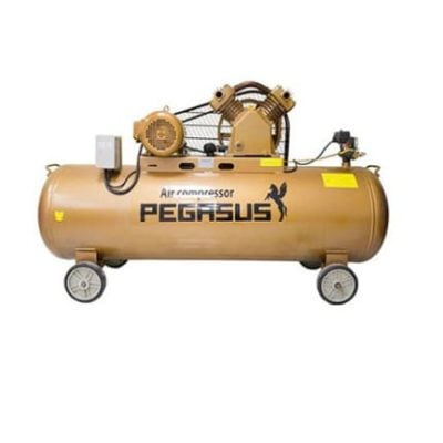 Máy nén khí Pegasus TM-V-0.17/8-120L 2Hp